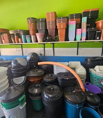 WhatsApp Image 2025-11-11 at 09.20.391