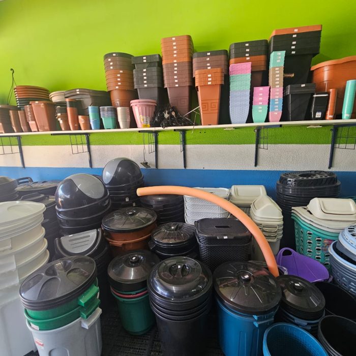 WhatsApp Image 2025-11-11 at 09.20.391