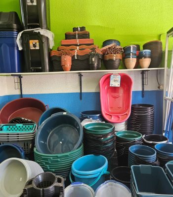 WhatsApp Image 2025-11-11 at 09.20.392